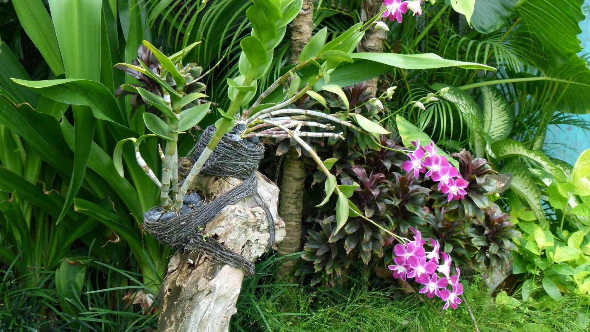 Hevea Villas Seminyak Oda fotoğraf